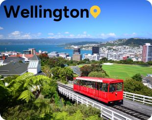 wellington